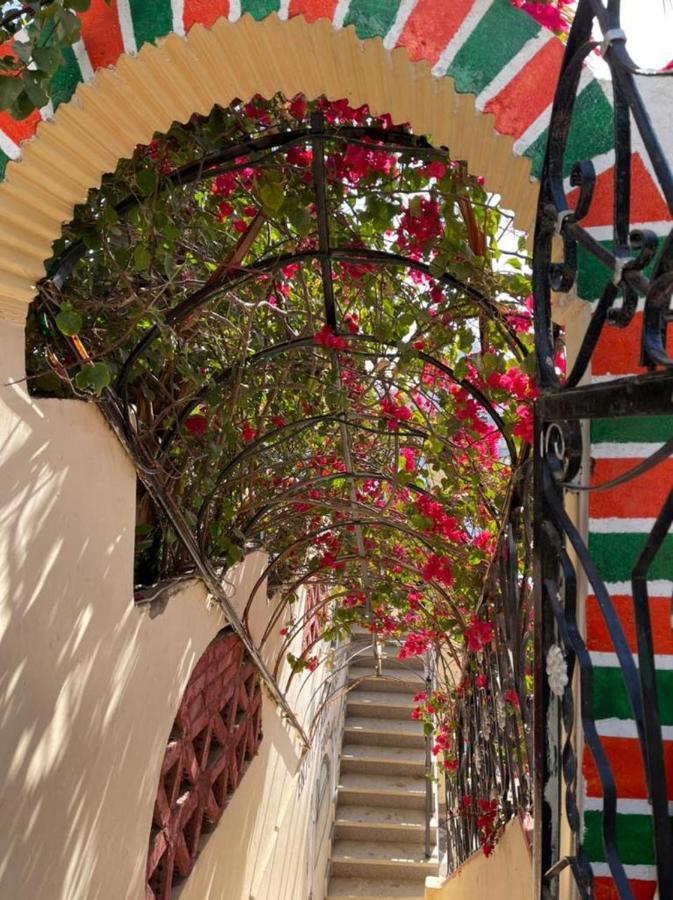 Nubian Dreams Guest House Aswan Ngoại thất bức ảnh