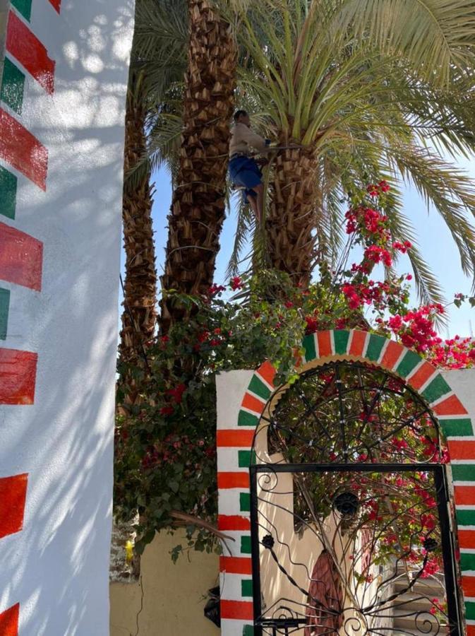 Nubian Dreams Guest House Aswan Ngoại thất bức ảnh