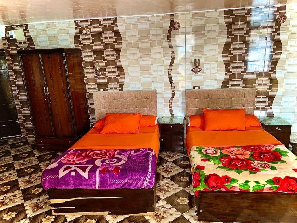 Nubian Dreams Guest House Aswan Ngoại thất bức ảnh